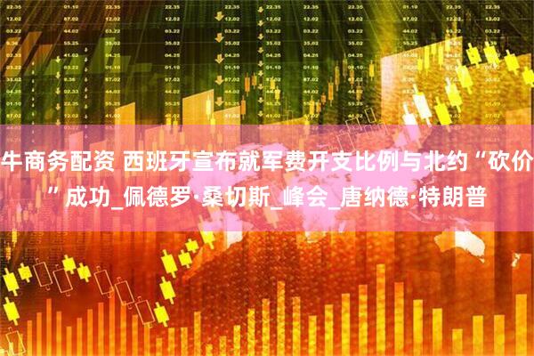 牛商务配资 西班牙宣布就军费开支比例与北约“砍价”成功_佩德罗·桑切斯_峰会_唐纳德·特朗普