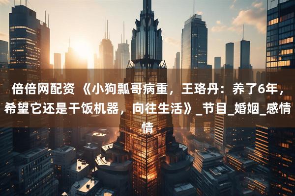 倍倍网配资 《小狗瓢哥病重，王珞丹：养了6年，希望它还是干饭机器，向往生活》_节目_婚姻_感情