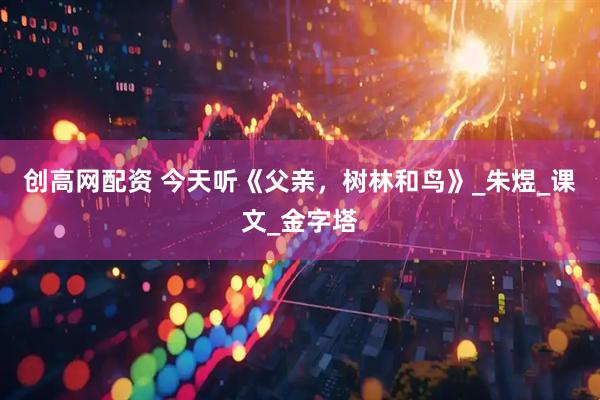 创高网配资 今天听《父亲，树林和鸟》_朱煜_课文_金字塔
