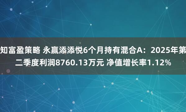 知富盈策略 永赢添添悦6个月持有混合A：2025年第二季度利润8760.13万元 净值增长率1.12%