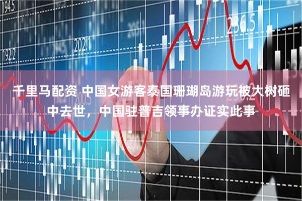 千里马配资 中国女游客泰国珊瑚岛游玩被大树砸中去世，中国驻普吉领事办证实此事